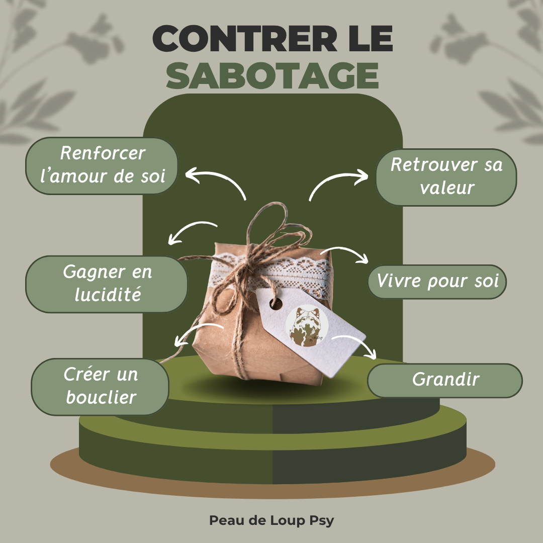 SOPHRO - Pack Développement – Image 2