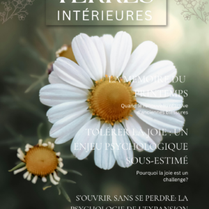 Une fleur de marguerite en gros plan sur un fond vert