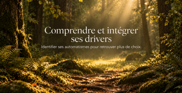 Masterclass Comprendre et intégrer ses drivers